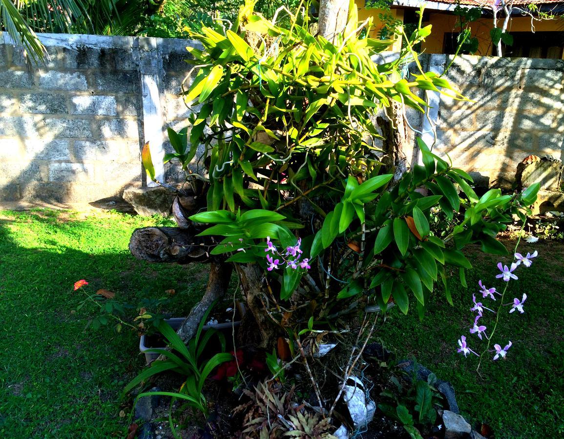 The Breeze Mirissa Bed & Breakfast ภายนอก รูปภาพ